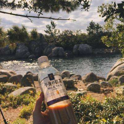 云顶集团下载手机版