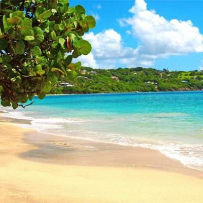 im电竞官方官网下载手机版