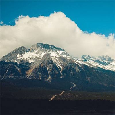 云顶集团下载手机版截图